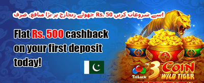 مفت اسپنز کا جشن promotion